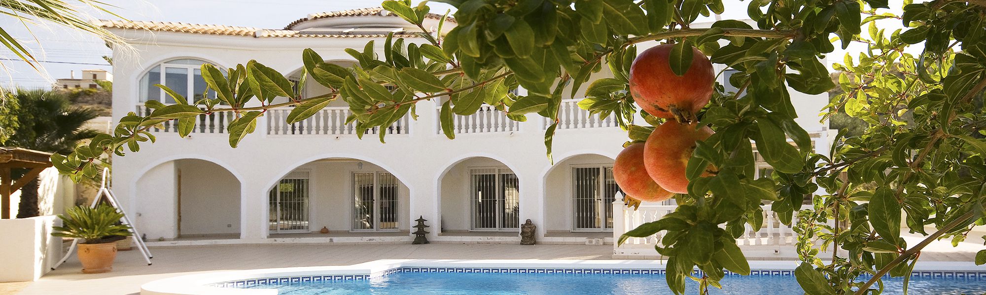 . FINCAS SAN JUAN en Sant Joan d`Alacant